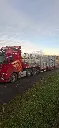 20250109_165154.webp