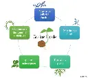 graine_locale.webp