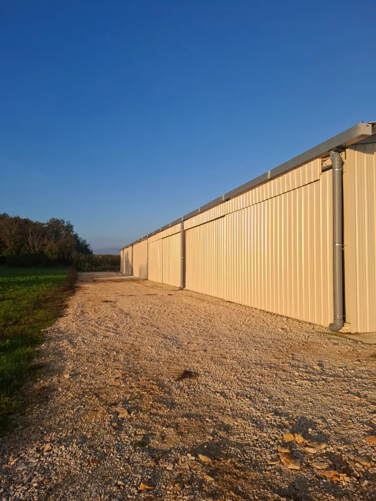 WhatsApp Image 2024-11-22 at 05.57.15.webp