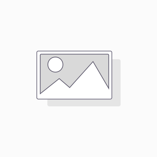 [20-365] Plateforme et Garde-corps de p